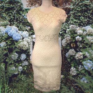 🍰 MALLOY | Cream Lace Midi Sheath Illusion Dress